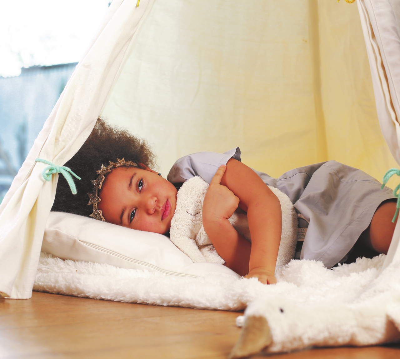 Animal Cushion Elephant