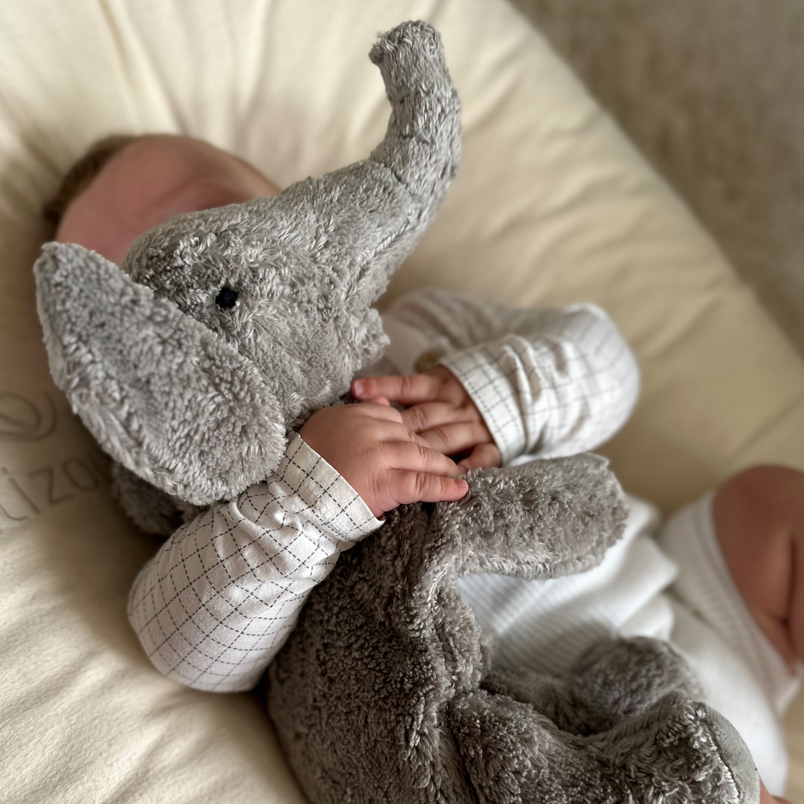 Cuddly Animal Elephant small