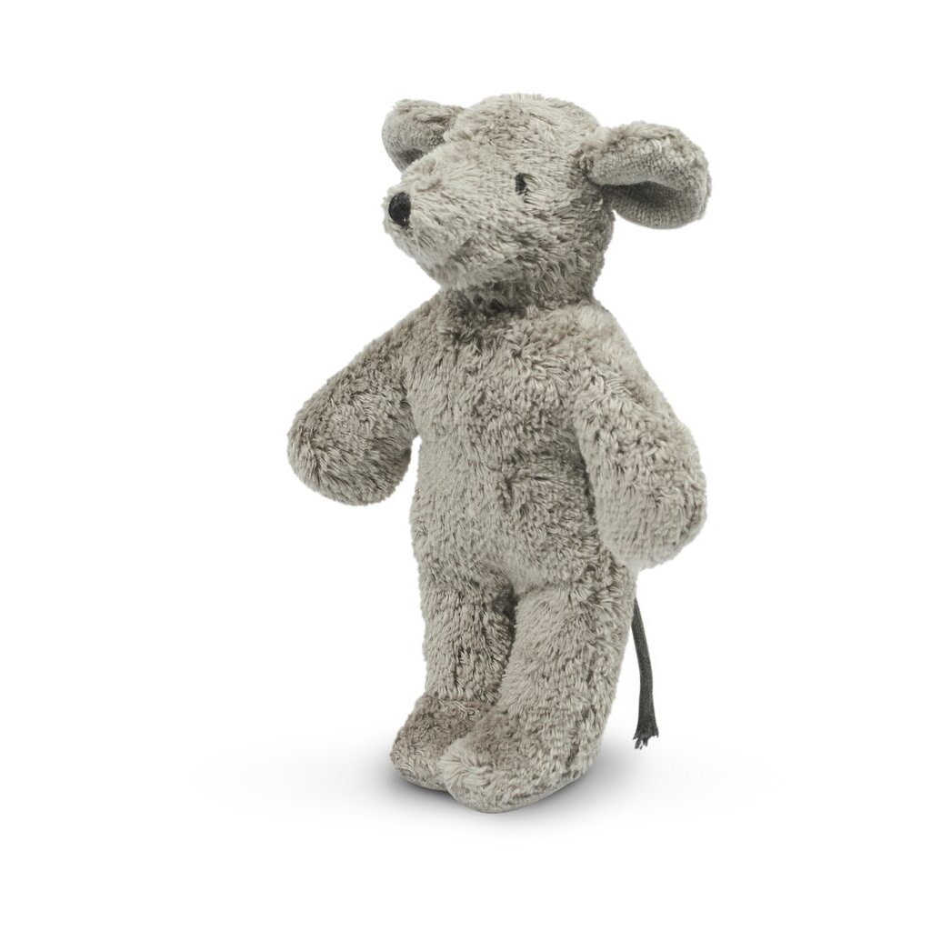 Animal Baby Mouse Animal Baby Mouse