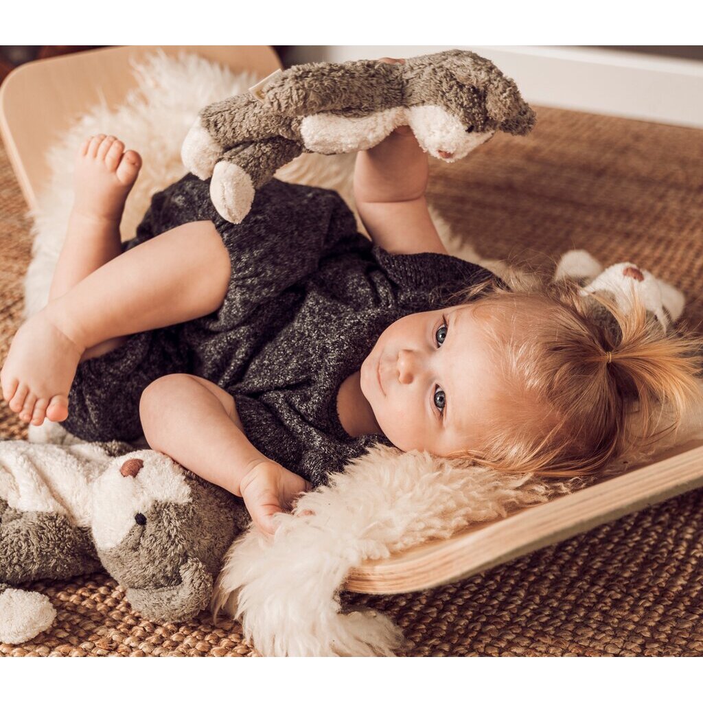 Animal Baby Cat Animal Baby Cat