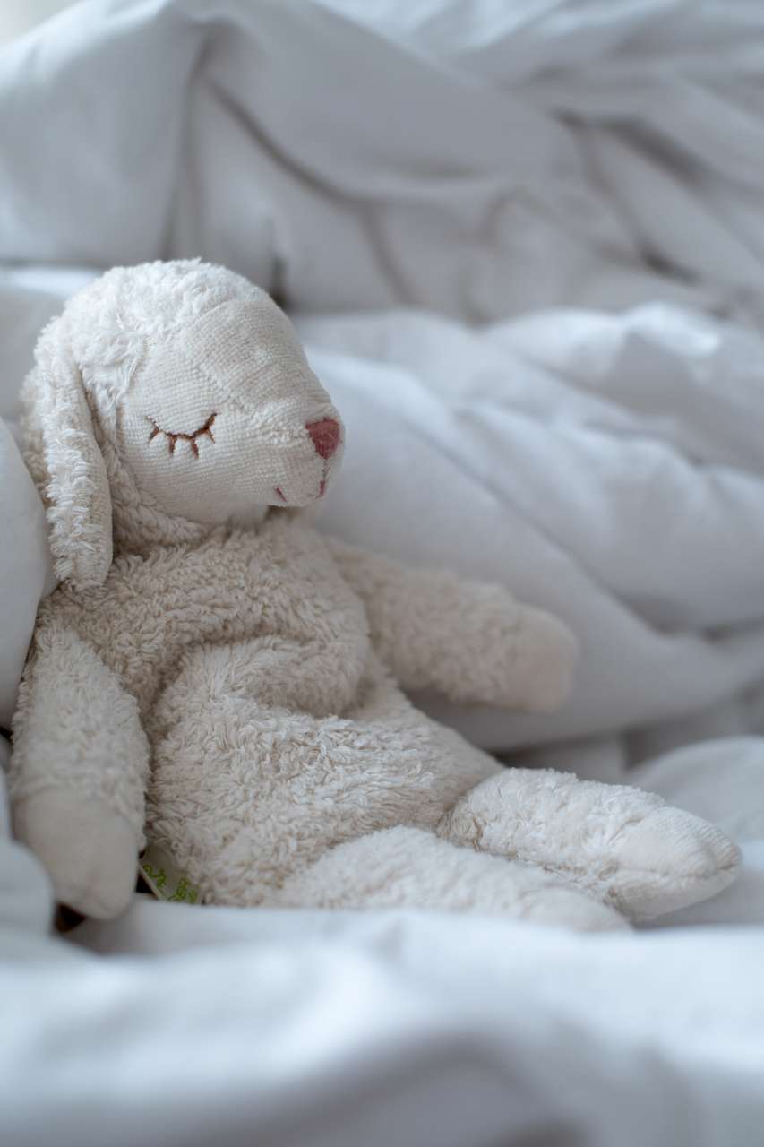 Kuscheltier Schaf klein | weiß Kuscheltier Schaf klein | weiß