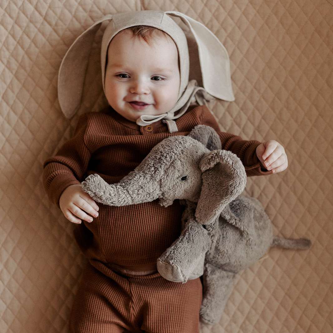 Cuddly Animal Elephant small