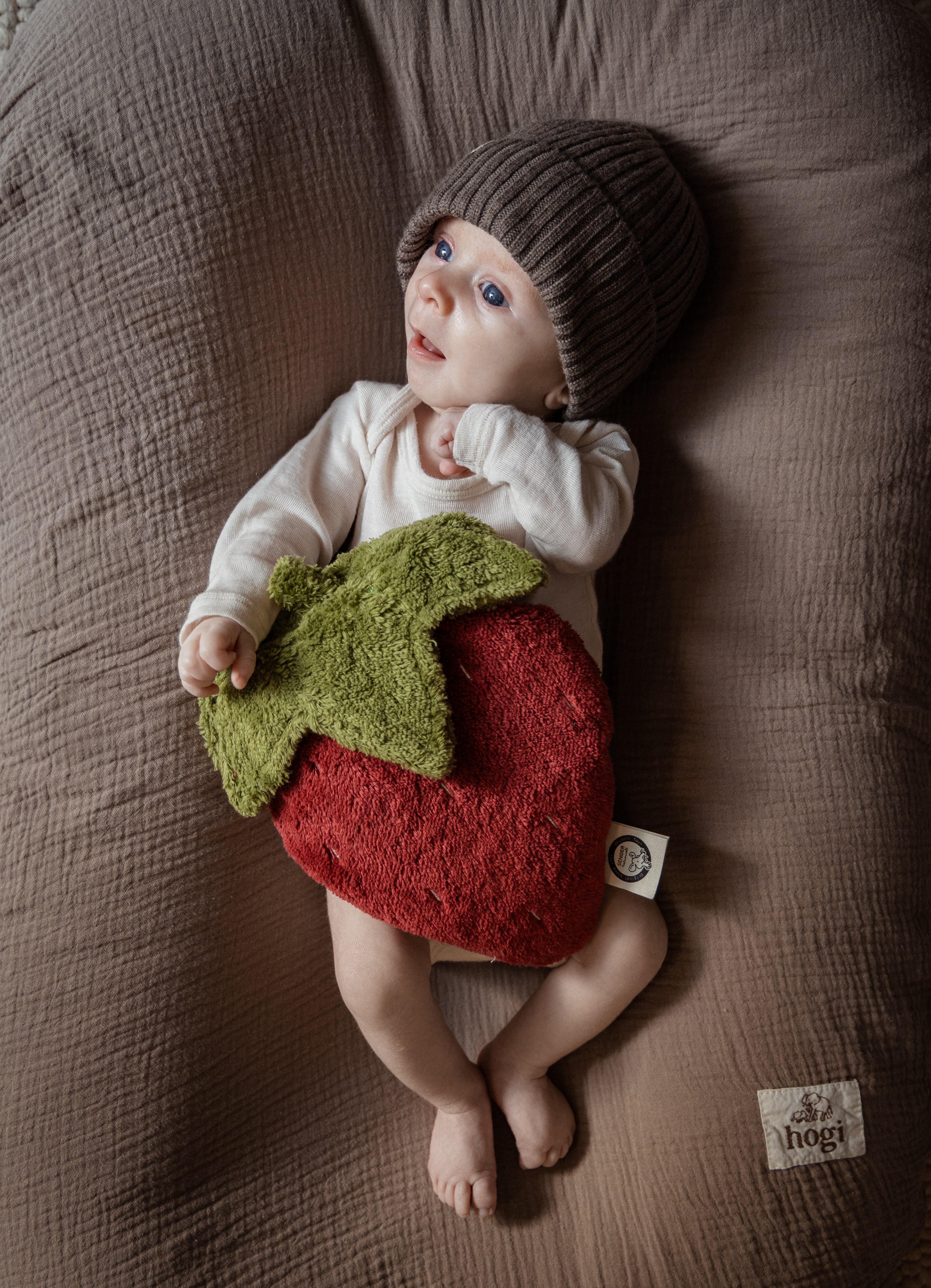 Warming Cushion Strawberry I small