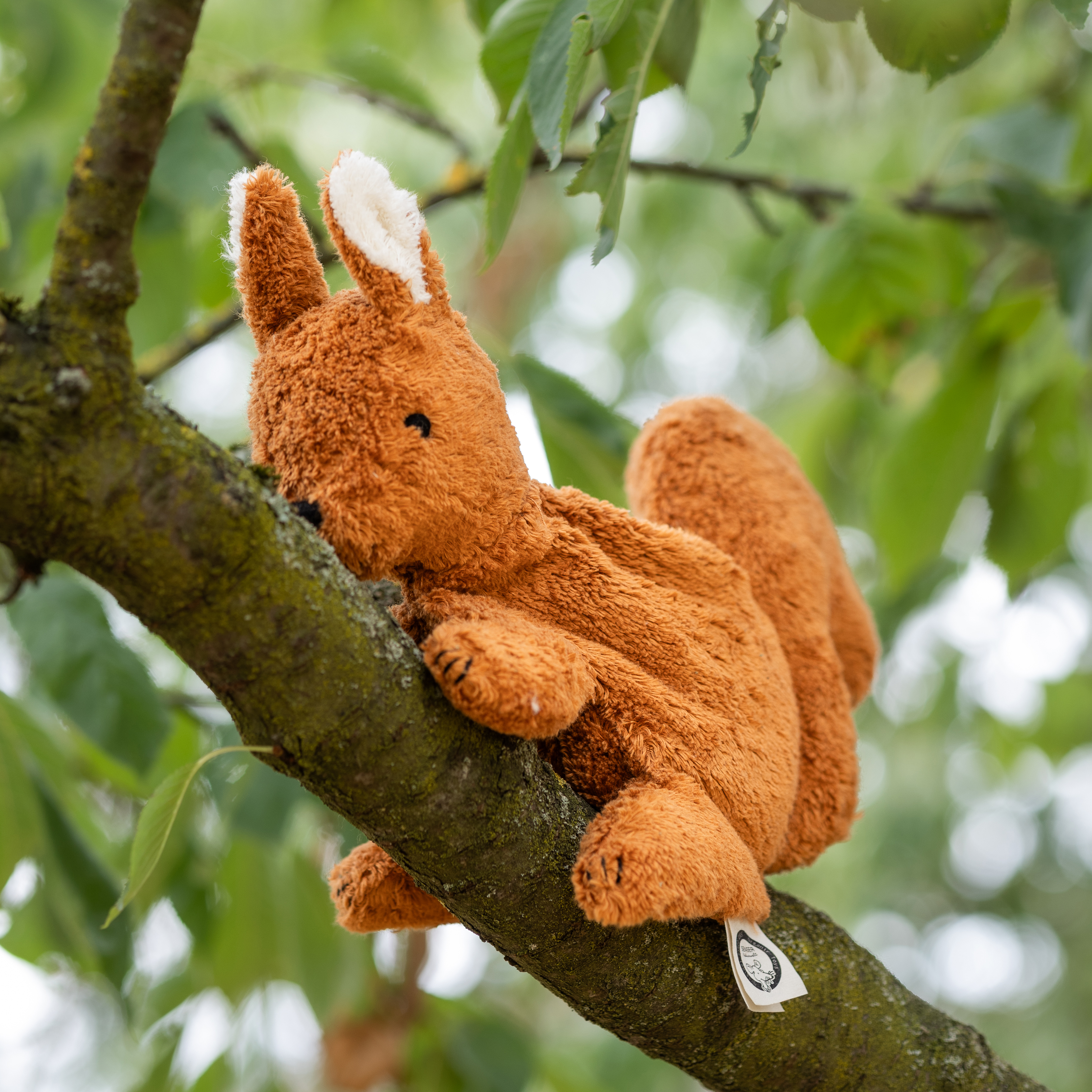 Kuscheltier Eichhörnchen klein