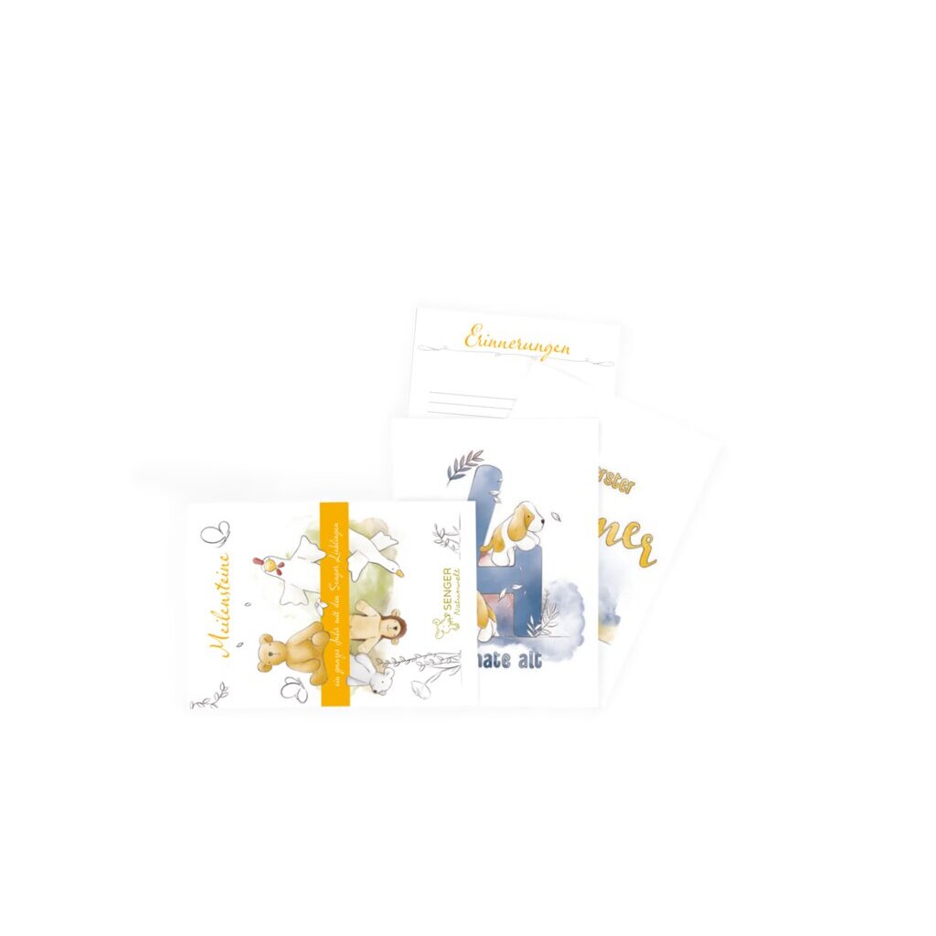 Meilensteinkarten (16 St.) Meilensteinkarten (16 St.)